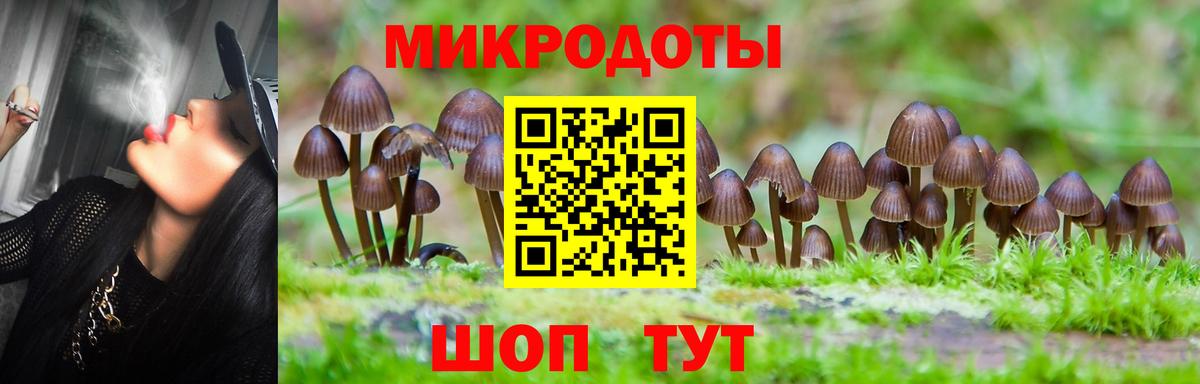 Псилоцибиновые грибы Magic Shrooms  Вход с VPN  магазин продажи   Кохма 