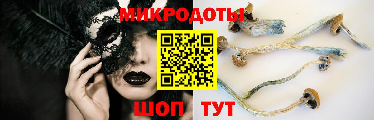 Галлюциногенные грибы MAGIC MUSHROOMS Кохма